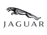 детейлинг jaguar